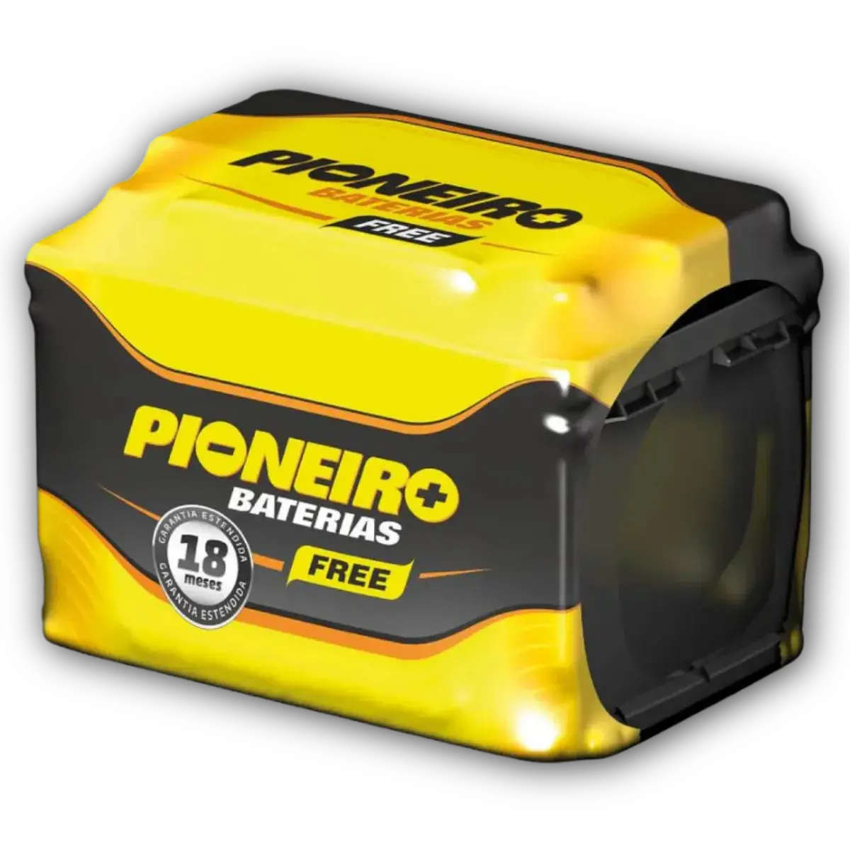Pioneiro 1